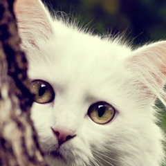 Елена Глухова, 18.03, Bielefeld