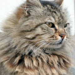 Евгений Евгений, 30.04.1986, Санкт-Петербург