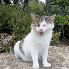 Ольга Тимофеева, 04.04, Москва