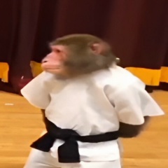 Влад Лазарев, 04.12, Москва