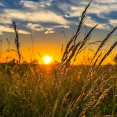 Moldir Nurpeisova, Алматы