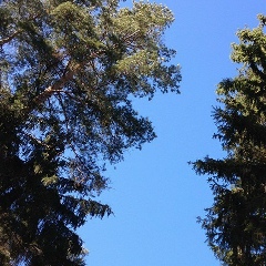 Екатерина Ш, Москва