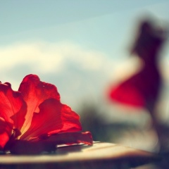 Aziza Shonay, 12.12.1988, Алматы