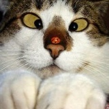 Павел Кравченко, 01.10.1995, Минск