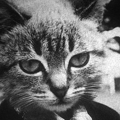 Bo Getman, 01.01.1994, Киев