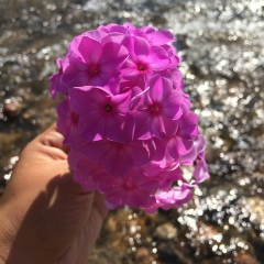 Мерей Турсынбайкызы, 05.10.1989, Астана