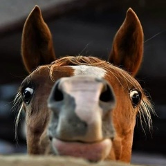 Надя Кириллова, 10.01