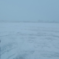 Негр Отличный, 09.01, Бобруйск