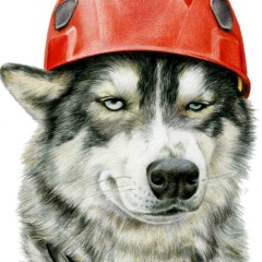 Богдан Олексив, 27.04, Атбасар