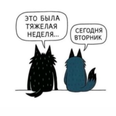 Керим Керимов, Reykjavík