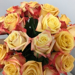 Dana Kosmuratova-Nugumanova, 04.09.1988, Алматы