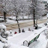 Said Aliyev, 29.06.1990, Гянджа