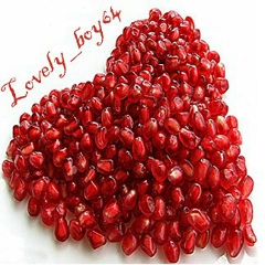 Lovely Boy, 21.04.1997, Шымкент