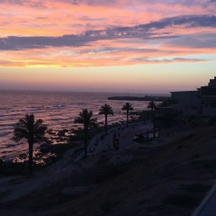 Dulat Aralbay, 01.01