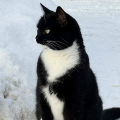 Светлана Просина, 25.11, Электросталь