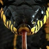 Ната Васильева, 07.05