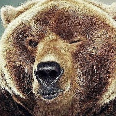 Andry Sosnoviy, 26.11.1985, Санкт-Петербург