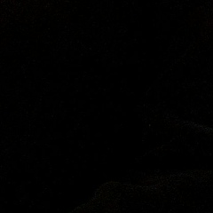 Андрей Митрофанов