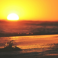 Эльвира Буряк, 19.08.1986, Москва