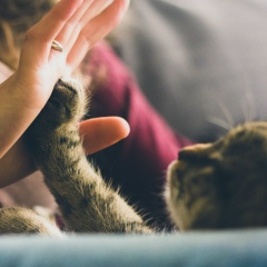 Алия Айдаргазинова, 17.12.1980, Степногорск