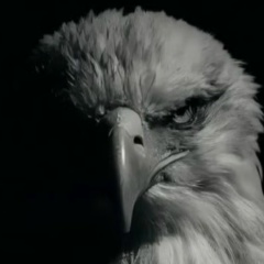 Давид Барсегян, 09.07.1954, Москва