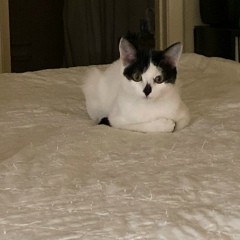 Полина Малина, 29.01.1989, Denver