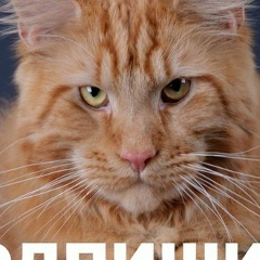 Приколы Прикол, Красноуральск