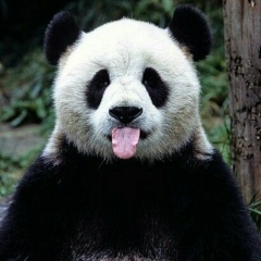 Anastassiya Moisseyeva, 13.10, Shanghai