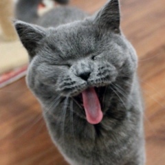 Max Acid, 06.12, Одесса