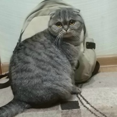 юля ...., 04.03.1990, Бишкек