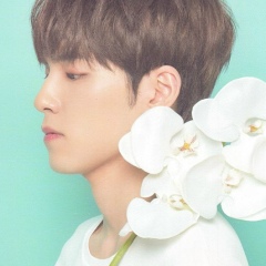 Mei Kuznetsov, 06.02.1994