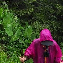 Нана Ибрагимова, 05.05.1993