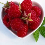 Ирина Малиновская, 13.02, Гагарин