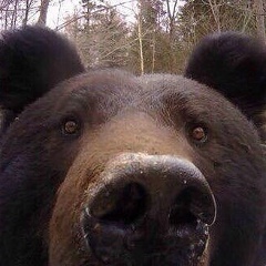 Роман Пономарёв, 10.05.1987, Стерлитамак