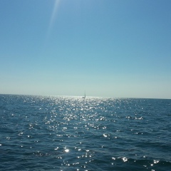 Игорь Василевский, Одесса