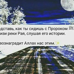 Заурбек Берсанов, 08.04.1997, Грозный