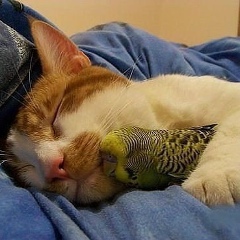 Лёха Лужанин, 01.01, Санкт-Петербург