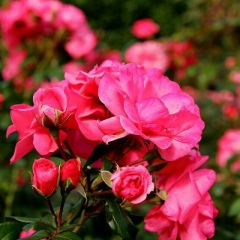 Жадыра Суюндыкова, 16.01.1993, Актобе