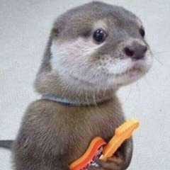 Андрей Турковский, 16.07, Запорожье