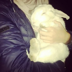 Al'bika Gargaeva, Пятигорск