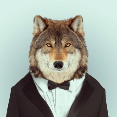 Артур Волк, 24.05, Санкт-Петербург