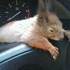 Олег Сергеевич, 26.09.1986, Санкт-Петербург