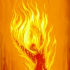 Артём Мячин, 17.09.1988, Владивосток