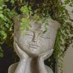 Наталья Самара, Afula