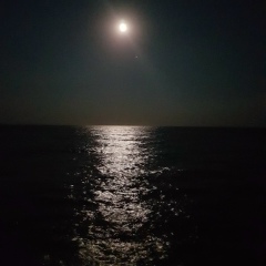 Татьяна Большова, 13.08, Москва