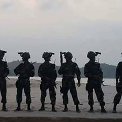 Tml Tiger, 11.04.1981