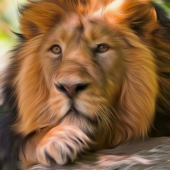 Вахтанг Какубери, 10.12, Екатеринбург