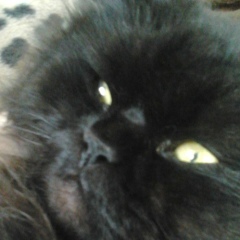 Amalia Suuuun, 17.03.1993