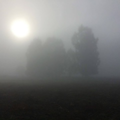 Renata Nazaraliyeva, 17.08, Kyōto