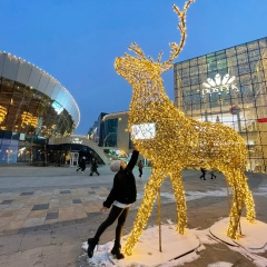 Диана Курмангалиева, 15.11, Петропавловск